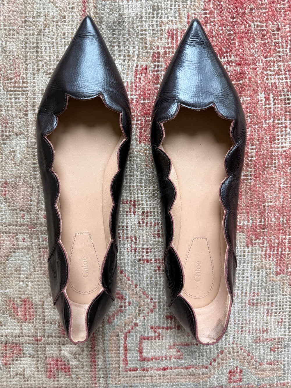 Chloe Scalloped Pointed-Toe Flats in Dark Brown with Nude Insole
